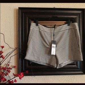 NWT BCBG Maxazria striped pia shorts Sz M